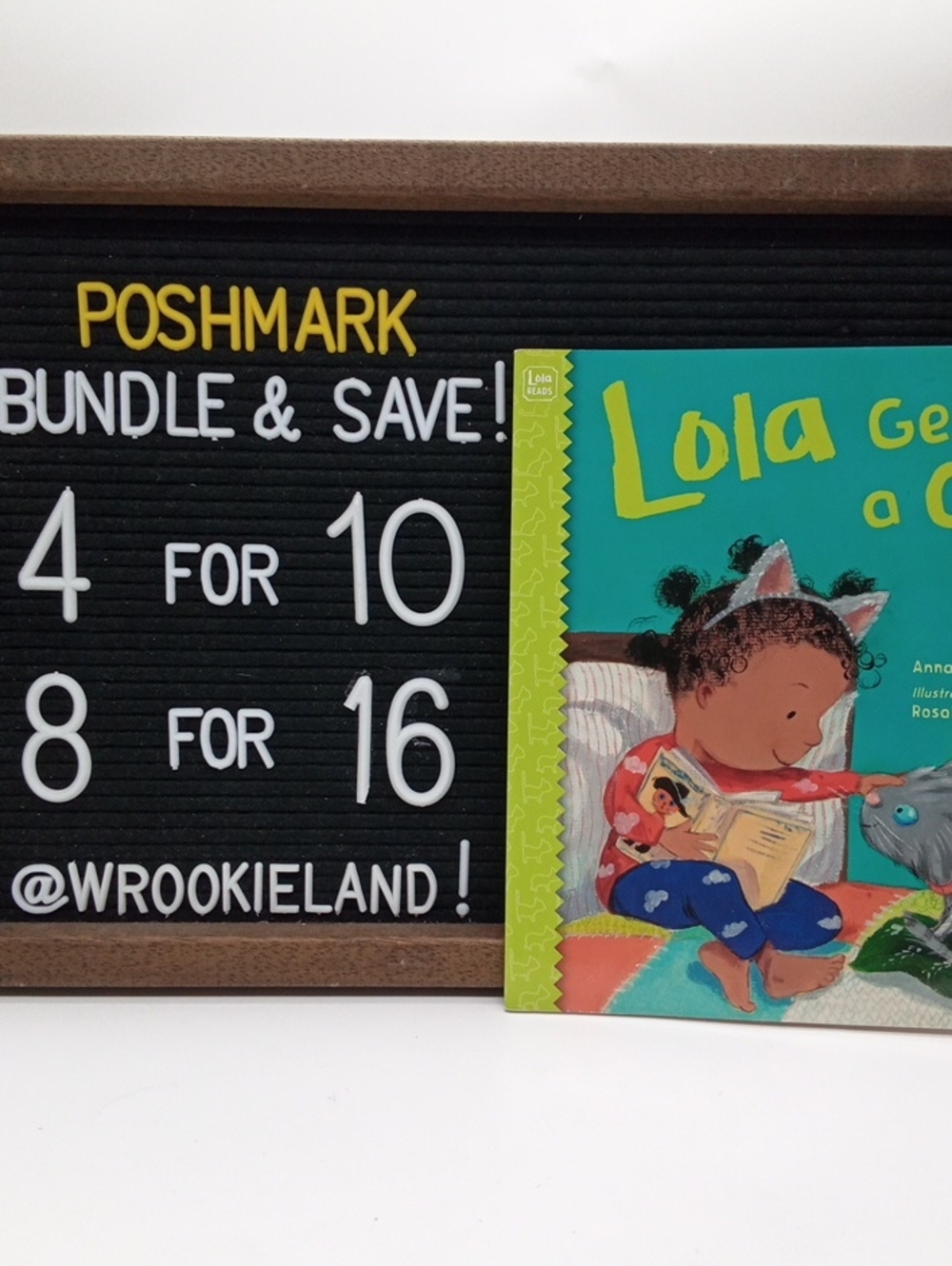 Lola Gets A Cat Book#13
